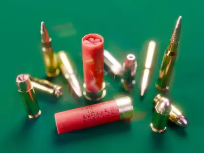 Ammo Set Free low-poly 3D model