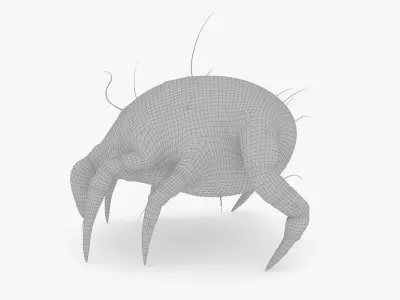 Dust Mite 3D model