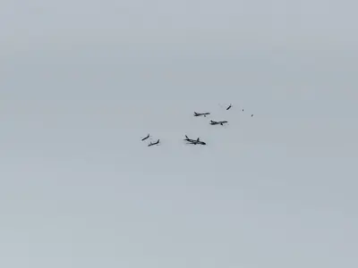 PHI traffic RAW BOEING 737 800 Free 3D model