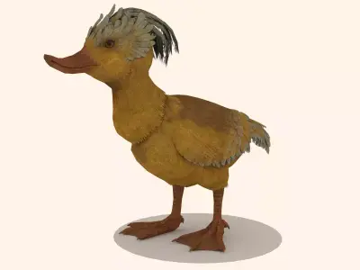 Duck cartoon Low-poly 3D model