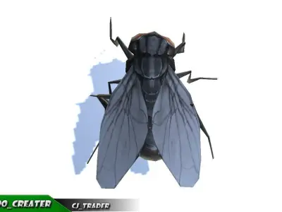 Low-Poly Housefly Insect Rigged Animated 3d model Low-poly 3D model
