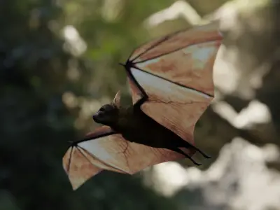 Bat - 3D Model 3D model