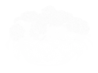  Large Mophead Hydrangea Plant Model, Blue 
