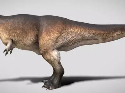 Tyrannosaurus rex Scotty Low-poly 3D model