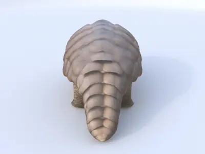 Pangolin 3D model
