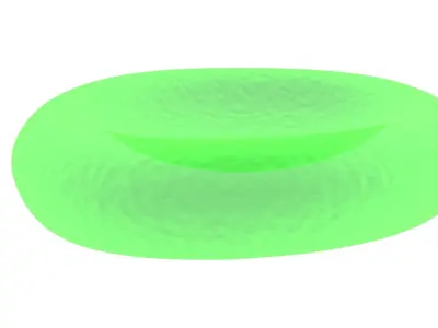 Leech Blood Cell 3D model