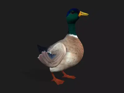 Duck A2 Free low-poly 3D model