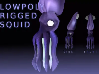 LowPoly Small Squid Low-poly 3D model