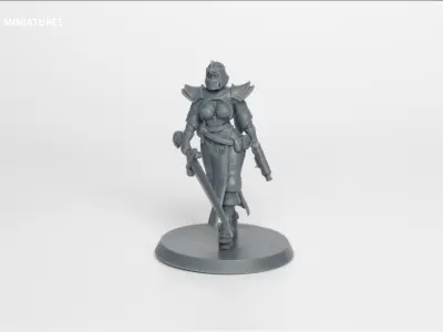 Divine Order - Initiate Pose 2 3D print model