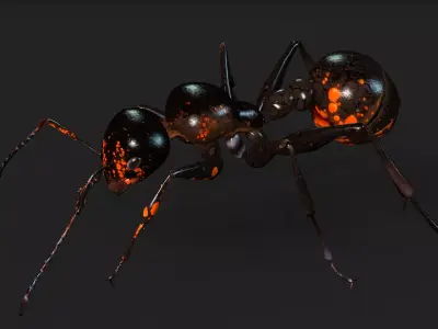 Ant A2 Free 3D model