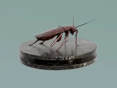 House Decoration Cockroach Statue Low-poly 3D model