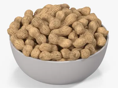 Peanuts 2 3D model