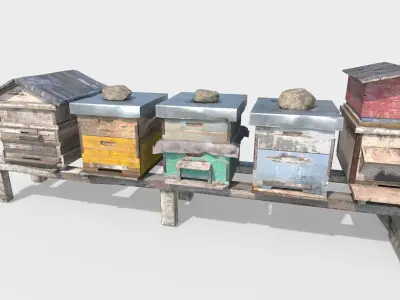 Old Bee Hives 3D model