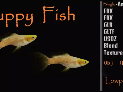 Guppy Fish Low-poly 3D model