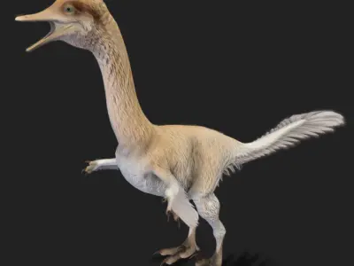 Halszkaraptor Low-poly 3D model
