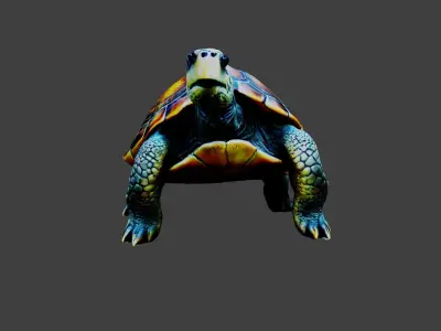 Turtle - Tortoise Animal Low-poly 3D model