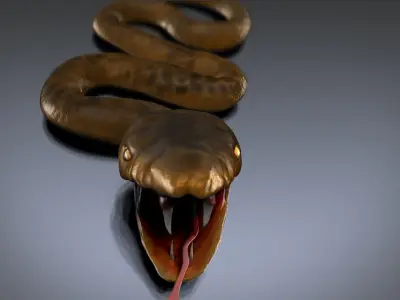 Snake by Swp Free 3D model