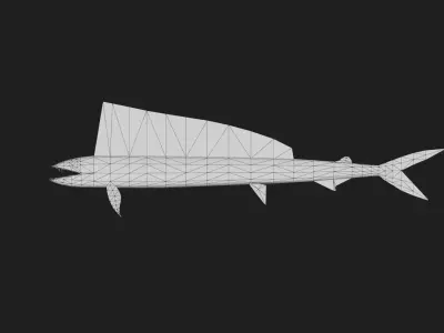 Lancetfish Low-poly 3D model