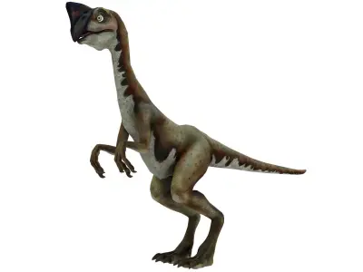 Oviraptor dinosaur Low-poly 3D model