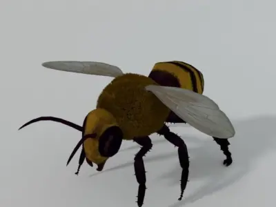 African Bee Low-poly 3D model