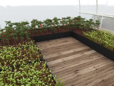 Greenhouse Free 3D model purchase