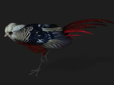 Pheasant A2 3D model