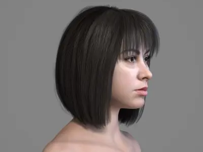 Realistic Brown Black Bob Hair with Bangs 3D Model