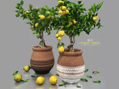 lemon trees 3D model
