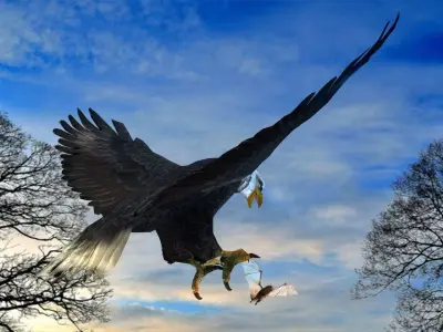 Eagle Attack  3D model