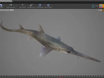Saw Shark Low-poly 3D model