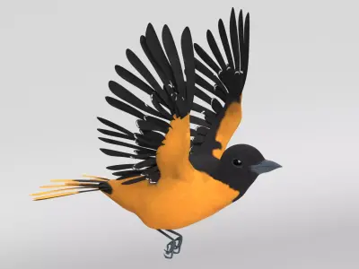 Animated Balitmore Oriole Bird 3D model