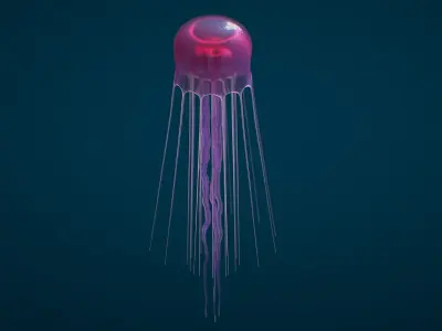Jellyfish Small Rigged 3D model