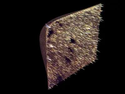 Snake Nebula 3D model