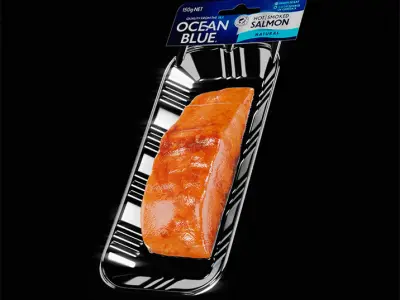 Hot Smoked Salmon 3D model