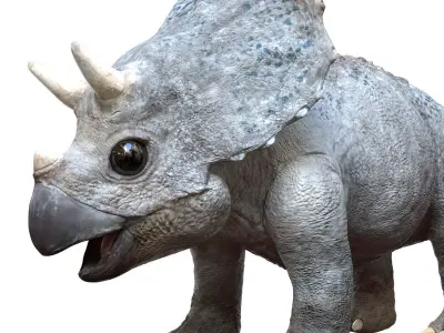 Triceratops Baby 3D Rigged model Low-poly 3D model