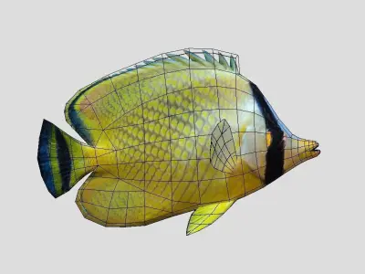 Latticed Butterflyfish Realistic Animated Low-poly 3D model