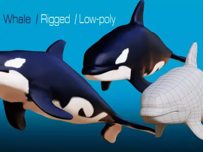 Killer whale Rigged Low-poly 3D model