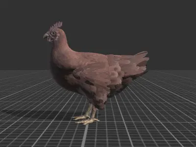 Pack of chickens Low-poly 3D model