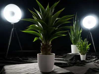  Agave Plant Succulent Potted Plant Model 