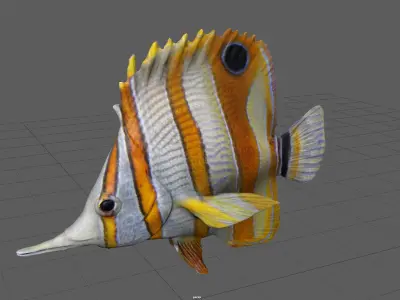 CORAL FISH Low-poly 3D model