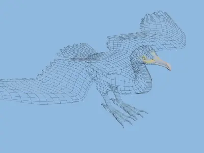 Low Poly Cormorant model with wings spread Low-poly 3D model
