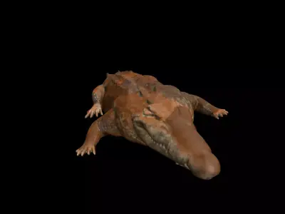 MUD CROC 3D model
