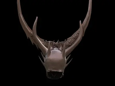 Noble Fallen Angel Helmet 2  3D model