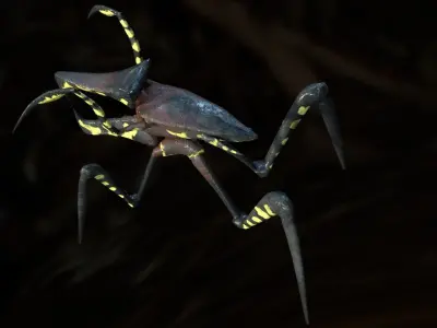 Warrior Bug Low-poly 3D model