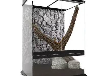 Terrarium With A Snake 3D model