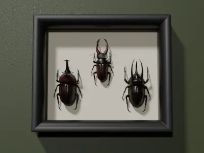 Stag rhinoceros atlas beetles realistic plus gold textures 3D model