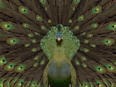 green peacock Low-poly 3D model