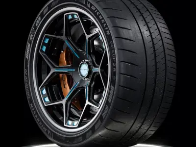 MICHELIN Pilot Sport Cup 2 R 335 30 ZR20 108Y MO1 3D model