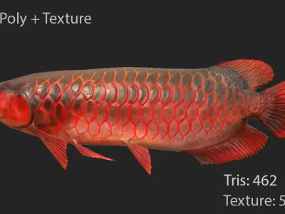 Dragon Fish Low-poly 3D model