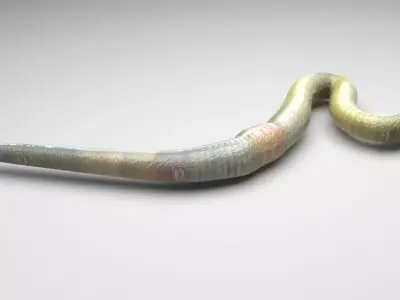 Green Worm 3D model
